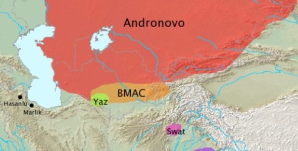 Problémamegoldó képesség és a magyar nyelv Problémamegoldó képesség és a magyar nyelv